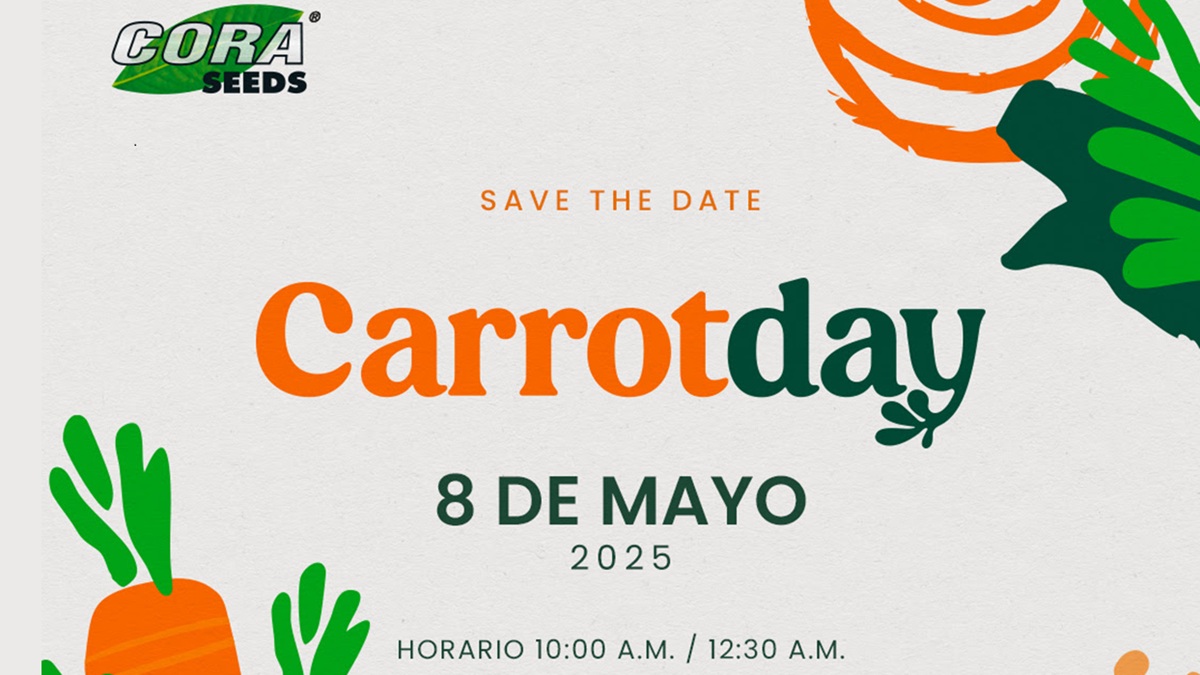 carrot day|zanahoria lanceros